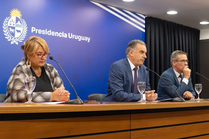 20260214 Orsi Cardama