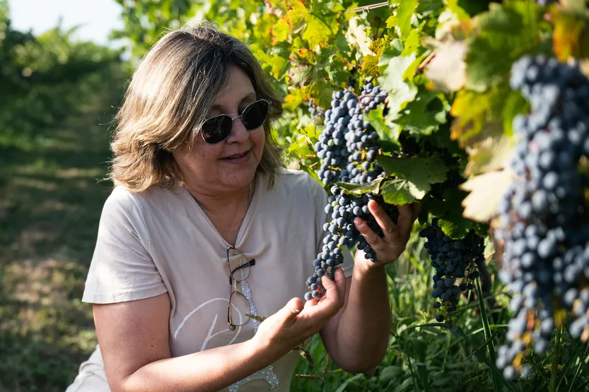 2260320 AGRO Vicca (CoopVinos) P59 f1