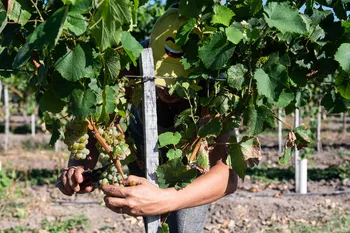 Departamento de Canelones. Foto: Alessandro Maradei