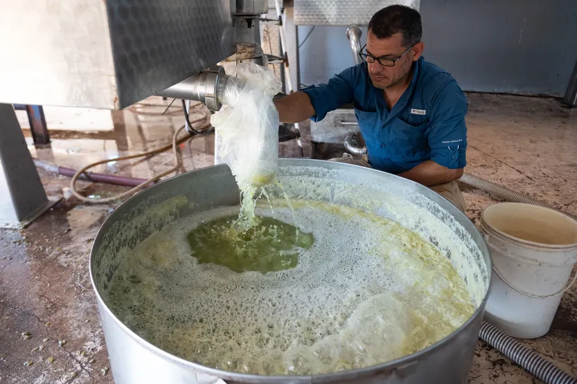 20260320 AGRO Vicca (CoopVinos) P59 f1