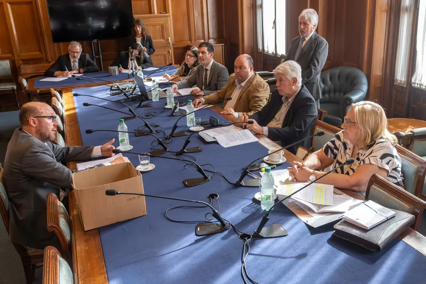 20260219 Pol ComisionSenadoCardama