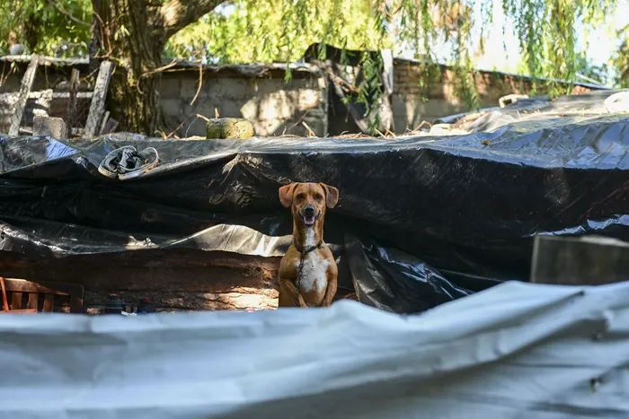 Asentamiento en Colonia del Sacramento, el 18 de febrero. · Foto: Ignacio Dotti