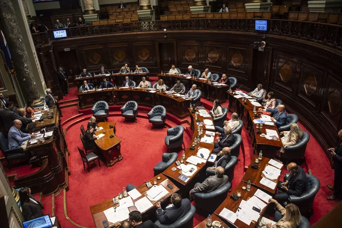 Cámara de Senadores, el 25 de febrero. · Foto: Diego Vila