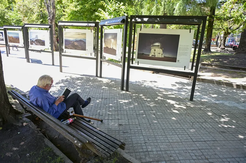 20260227 colonia fefo bouvier