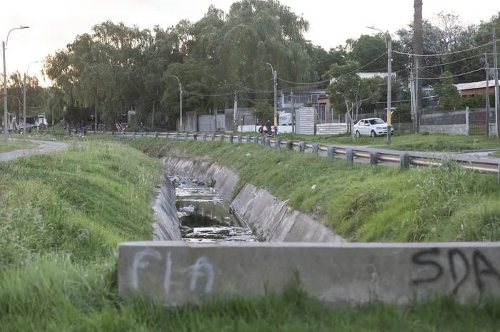 Flor de Maroñas (archivo, marzo de 2026) · Foto: Alessandro Maradei