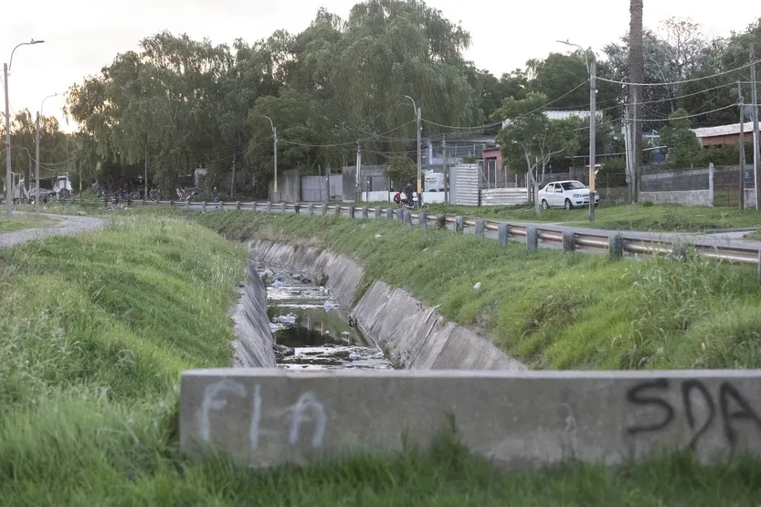 20260316 SAL Flor de maroñas