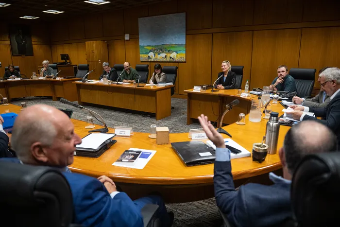 Investigadora de María Dolores, el 23 de marzo, en el edificio anexo del Palacio Legislativo. · Foto: Gianni Schiaffarino