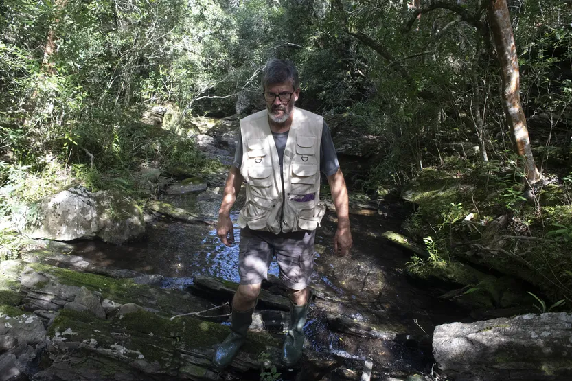 20260101 AGROPECUARIA PRODUCCION (YerbaMate) f2