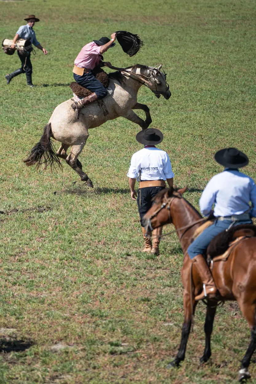 20260101 AGROPECUARIA ENTREVISTA (F.Pereira) f2