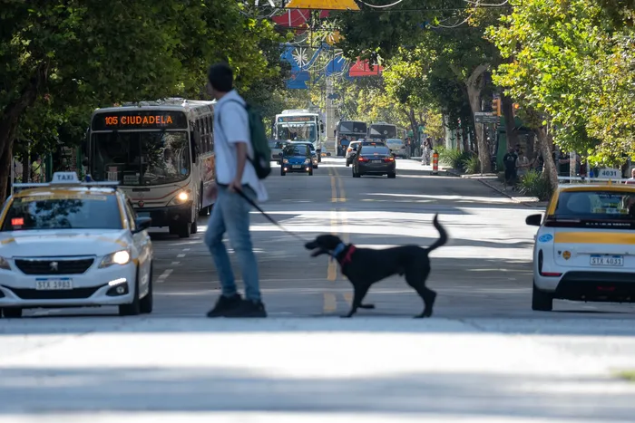 Centro de Montevideo el 31 de marzo. · Foto: Martin Hernández Müller