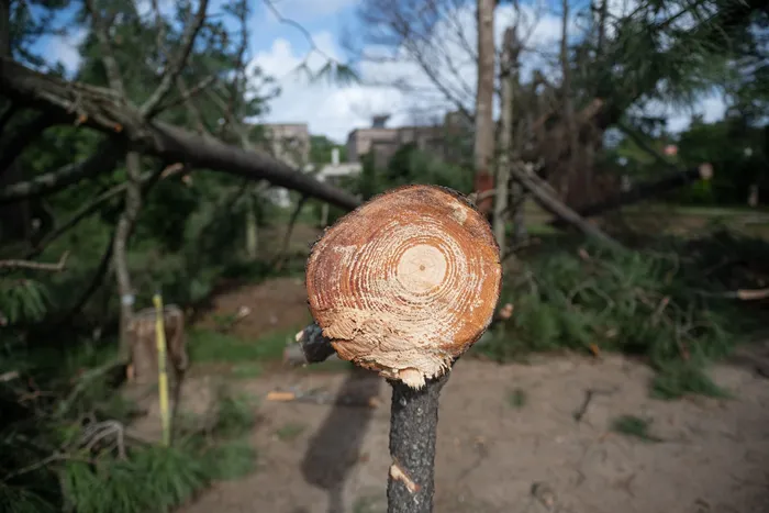 Ciudad de la costa, el 8 de abril, luego del ciclón extratropical. · Foto: Gianni Schiaffarino