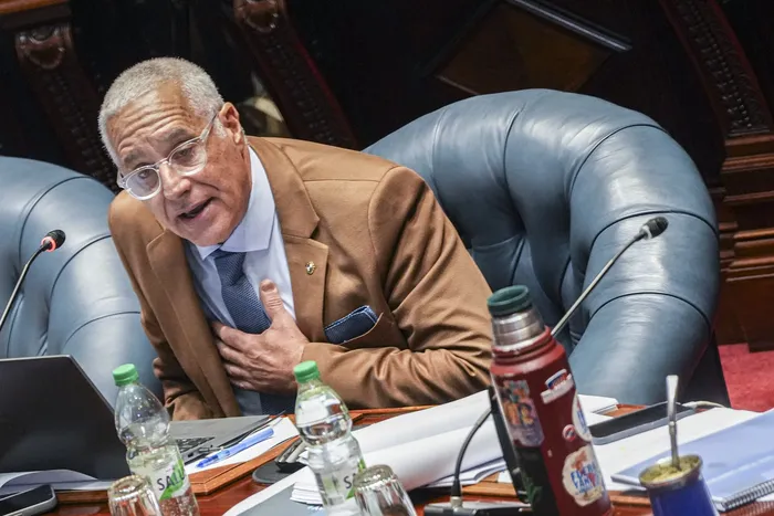 Carlos Negro durante la interpelación ante la Cámara de Senadores, el 9 de abril · Foto: Ernesto Ryan