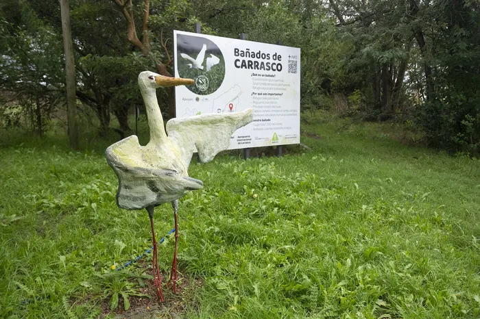 Bañados de Carrasco · Foto: Alessandro Maradei