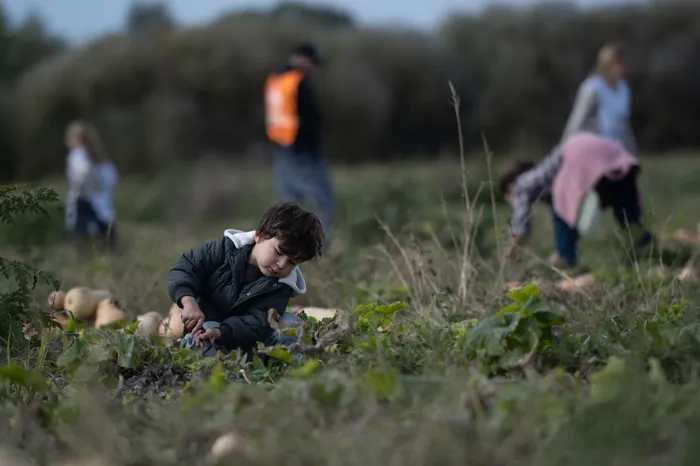 Foto principal del artículo 'Cosecha sin desperdicios' · Foto: Mara Quintero