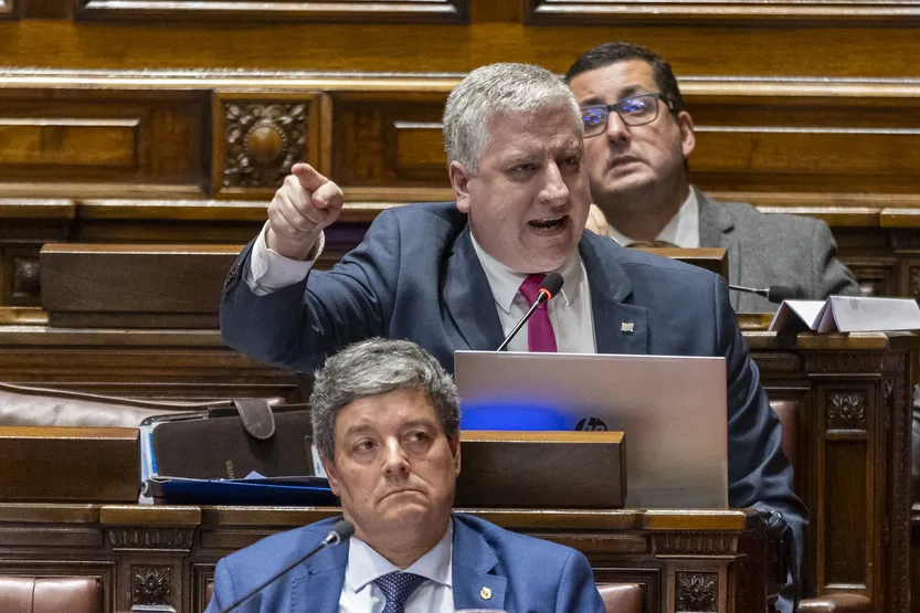 20260609 diputados