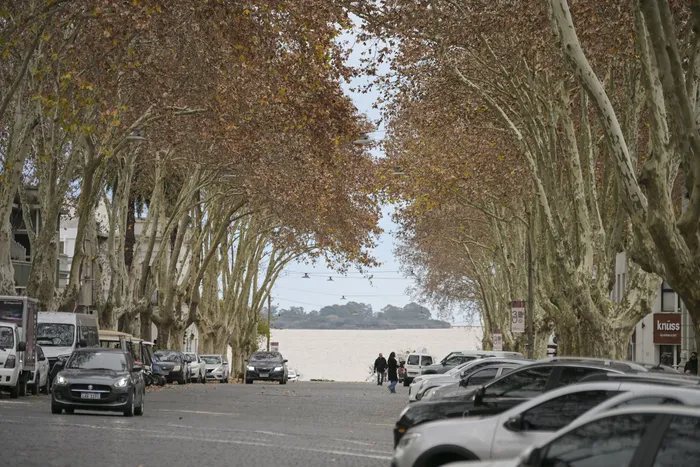 Avenida General Flores de Colonia del Sacramento (archivo, junio de 2026). · Foto: Ignacio Dotti