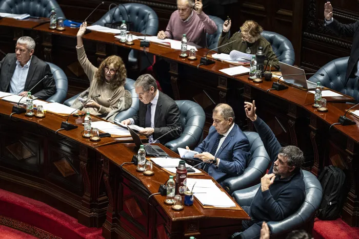 Cámara de Senadores, el 22 de junio. · Foto: Ernesto Ryan