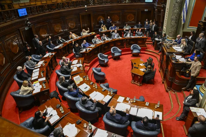 Durante la votación, el 27 de julio, en la Cámara de Senadores. · Foto: Guillermo Legaria