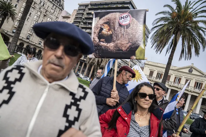 Movilización de ambientalistas contra la represa de Casupá en la Torre Ejecutiva, el 5 de agosto. · Foto: Ernesto Ryan