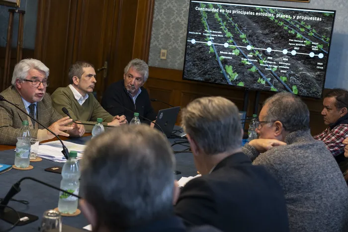 Tabaré Aguerre, el 13 de agosto, en la comisión de ganadería del Senado. Foto: Inés Guimaraens