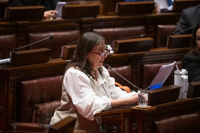 Sylvia Ibarguren, el 17 de agosto, en la Cámara de Representantes. · Foto: Gianni Schiaffarino