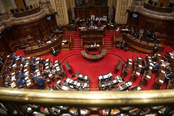 Cámara de Representantes, el 17 de agosto, en el Palacio Legislativo. Foto: Gianni Schiaffarino