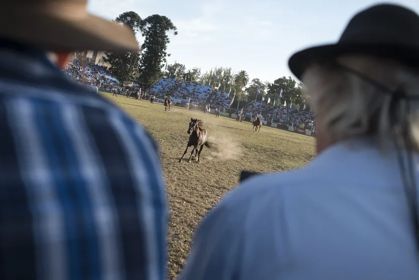 20260312 AGRO Caballos f4