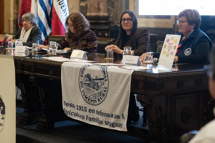 Silvia Paez, Constanza Moreira, Paula de Armas y Cristina Revetria, el 15 de octubre, durante la presentación de la Agenda de las Mujeres Rurales +10, en el Palacio Legislativo. · Foto: Rodrigo Viera Amaral