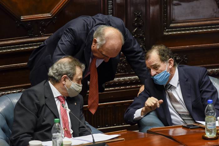 Raúl Lozano, Guillermo Domenech y Guido Manini Ríos, durante una sesión en la Cámara de Senadores del Palacio Legislativo, en Montevideo (archivo, abril de 2020). · Foto: Federico Gutiérrez