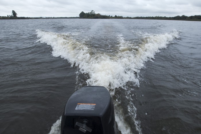 Río Negro. (archivo, abril de 2019) · Foto: Sandro Pereyra