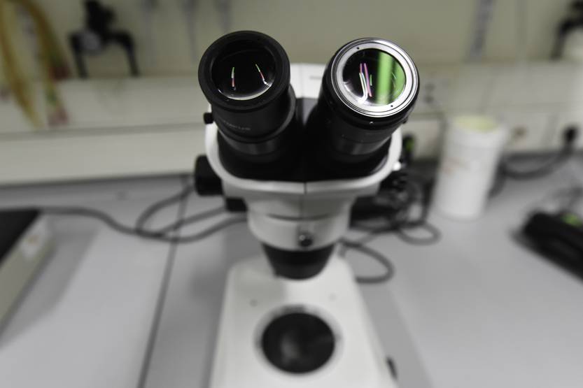 20220712 Ciencias
