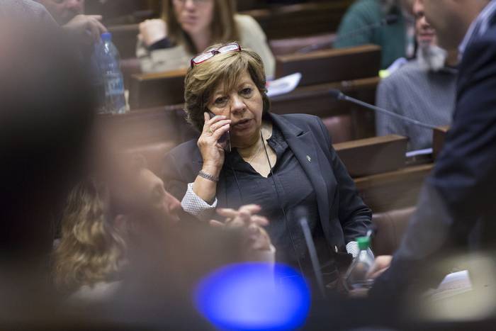Susana Pereyra, durante una sesión de la Cámara de Diputados (archivo, octubre de 2020). · Foto: Ernesto Ryan