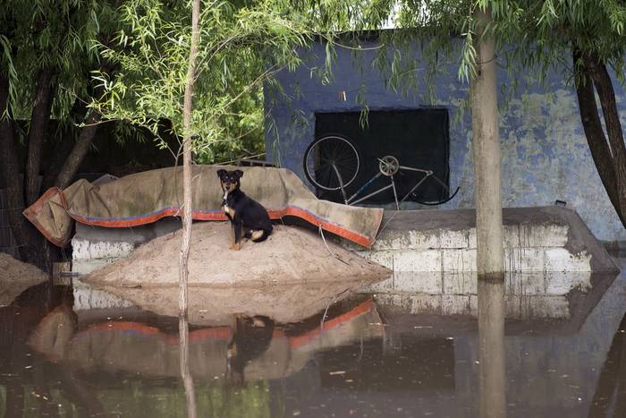 Inundaciones en Durazno (archivo, enero de 2019). · Foto: Andrés Cuenca