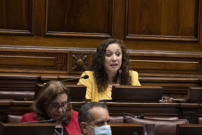 Verónica Mato, durante una sesión en la Cámara de Representantes, en el Palacio Legislativo, en Montevideo (archivo, noviembre de 2020). · Foto: .