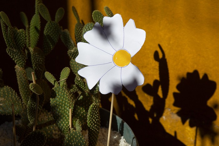 Foto: Ernesto Ryan.