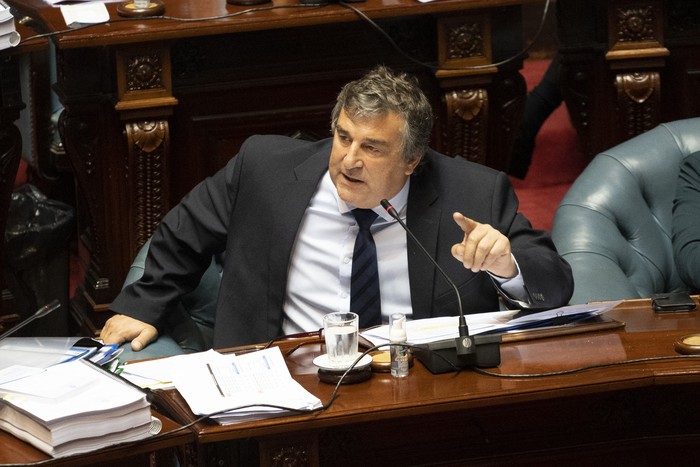 Sergio Botana, en el senado, el 22 de julio
 · Foto: Mariana Greif