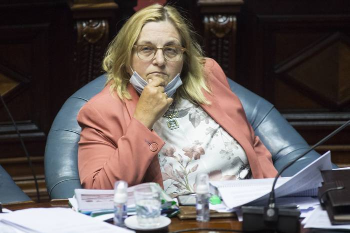 Graciela Bianchi en la Cámara de Senadores (archivo, diciembre de 2020). · Foto: Ernesto Ryan
