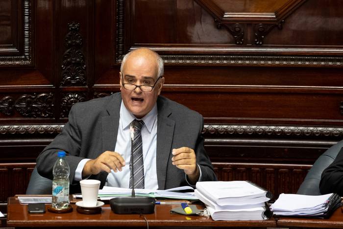 Gustavo Penadés, en la Cámara de Senadores (archivo, junio de 2020). · Foto: Mariana Greif