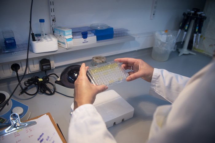 Instituto Pasteur (archivo). · Foto: Alessandro Maradei