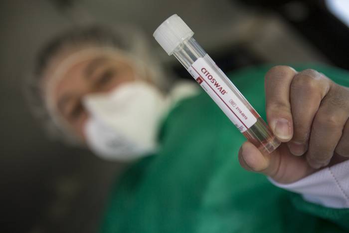 Foto principal del artículo 'Este sábado se comenzaron a inmunizar los vacunadores' · Foto: .