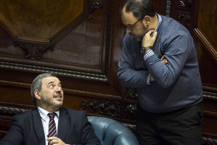 Mario Bergara y Charles Carrera, durante una sesión en el Senado (archivo, junio de 2020). · Foto: .