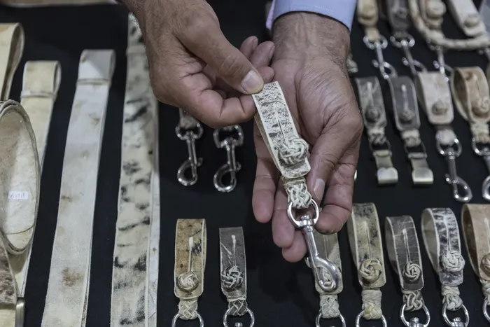 archivo 2021 · Foto: Ernesto Ryan