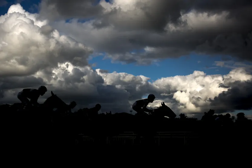 20260312 AGRO Caballos f3