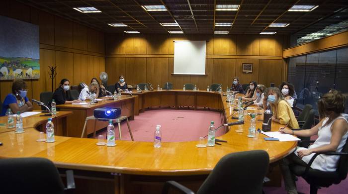 Reunión de la Bancada Bicameral Femenina, en el edificio anexo del Palacio Legislativo.  · Foto: Alessandro Maradei