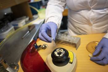 Foto: Mariana Greif (archivo).