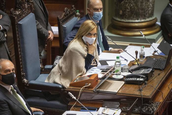 Beatriz Argimon, en la Cámara de Senadores (archivo, julio de 2020). · Foto: Mariana Greif