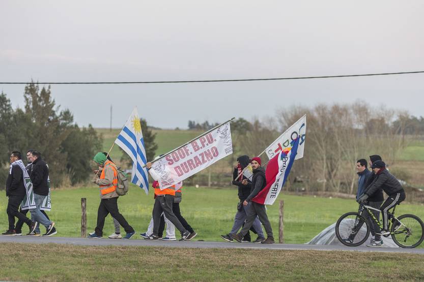20220720 frigorífico canelones