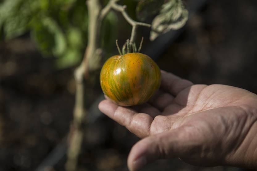 20251027 lunes ambiente
