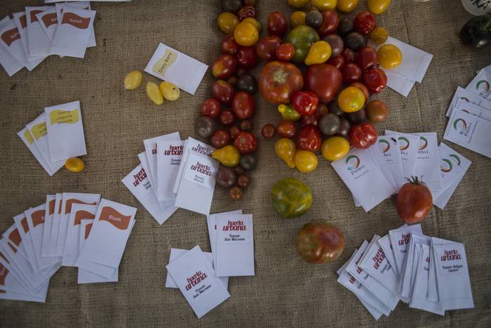 Primera cata nacional de tomates, en Paysandu (archivo, febrero 2021). · Foto: .