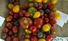 tomates RS59810_20210227er_58